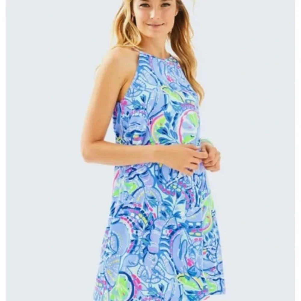 Lilly Pulitzer Margot Swing Dress